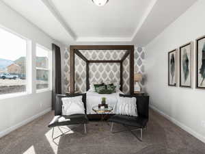 Carpeted bedroom with baseboards and a raised ceiling