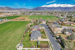 Drone / aerial view featuring a mountain view and a residential view