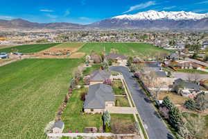 Bird's eye view with a residential view and a mountain view