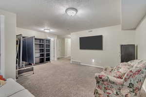 Carpeted living room with visible vents, baseboards, and a textured ceiling
