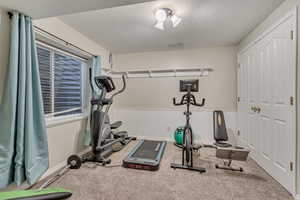 Workout room featuring a textured ceiling, carpet flooring, and a wainscoted wall