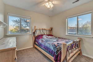 Carpeted bedroom featuring visible vents, baseboards, and multiple windows