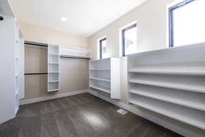 Spacious closet with dark colored carpet and visible vents