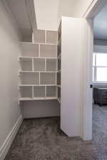 Bedroom walk in closet