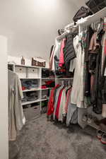Spacious closet featuring carpet flooring