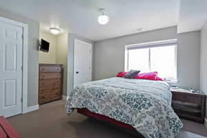 Carpeted bedroom with two separate closets