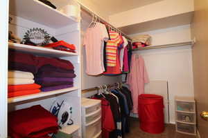 Spacious walk-in closet featuring carpet