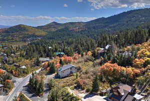 Aerial view with a view of trees and a mountain view