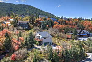 Aerial view featuring a view of trees and a residential view