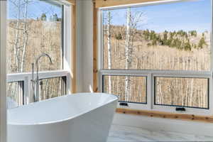 Interior details featuring a freestanding tub