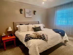 Bedroom featuring carpet