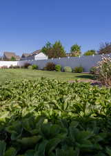 View of fenced backyard