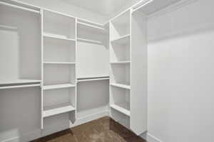 Spacious closet featuring carpet floors