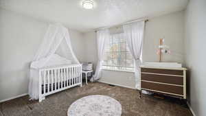 Bedroom with carpet,  baseboards and a textured ceiling