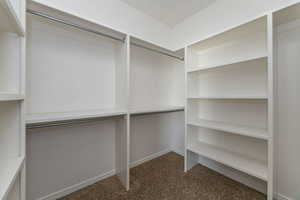 Primary walk in closet with carpet