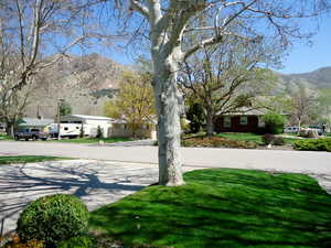 Photo 11 of 65 N 700 E