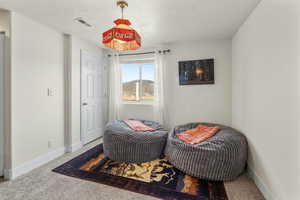 Living area featuring baseboards, visible vents, and carpet