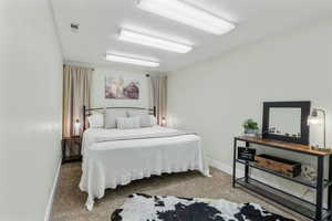 Carpeted bedroom featuring visible vents and baseboards