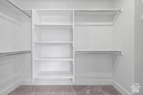 Walk in closet featuring carpet