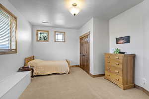 Bedroom featuring light carpet, baseboards, and visible vents