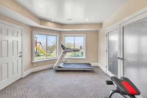 Workout area featuring baseboards and carpet flooring