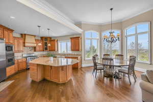 Kitchen featuring custom range hood, a kitchen island, appliances with stainless steel finishes, and a healthy amount of sunlight