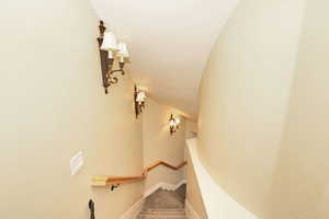 Stairway with vaulted ceiling, carpet floors, and baseboards
