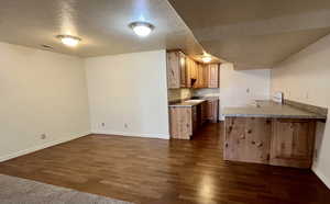 Basement Kitchen