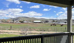 Rural Mountain View with buffalo