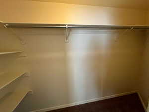 Basement Bedroom #3 closet