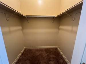 Master Suite closet