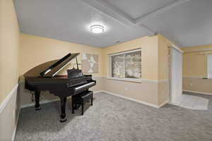 Living area with baseboards, carpet flooring, and a textured ceiling