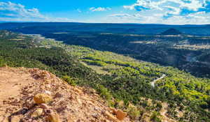 Aerial view featuring a wooded view and a mountain view