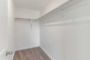 Walk in closet featuring carpet floors