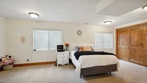 Carpeted bedroom featuring a closet, visible vents, baseboards, and multiple windows