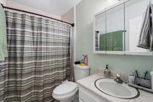 Bathroom featuring toilet, vanity, and a shower with curtain
