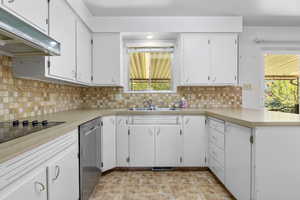 Kitchen featuring stainless steel dishwasher, under cabinet range hood, plenty of natural light, and a sink