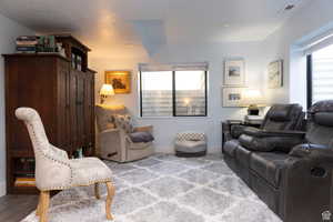 Basement Living room