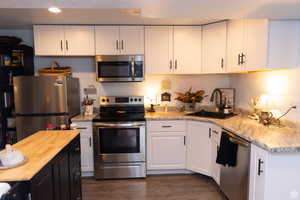 Kitchen featuring recessed lighting, stainless steel appliances, a sink, and wood counters