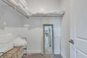 Walk in closet with carpet flooring