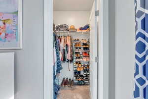 Walk in closet featuring carpet floors