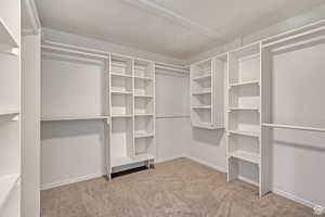 Spacious closet featuring carpet