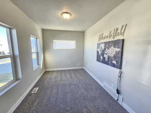 Empty room with carpet, a textured ceiling, baseboards, and visible vents