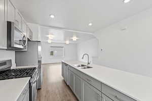 Kitchen with stainless steel appliances, light wood-style flooring, a sink, gray cabinetry, and light countertops