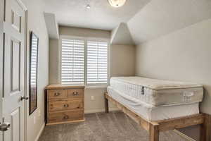 Bedroom featuring lofted ceiling, baseboards, carpet, and a textured ceiling