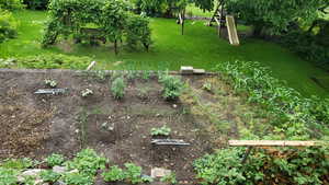 View of back yard featuring a vegetable garden