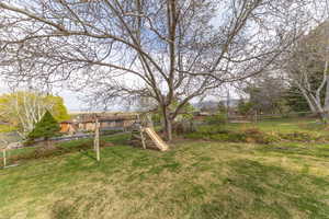 Swing set under large walnut tree