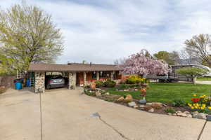 Front view of charming rambler with a meticulously landscaped yard. Brand new Lifetime roof.