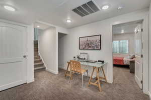 Basement family room/flex area