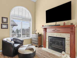 mountainous view inside living room